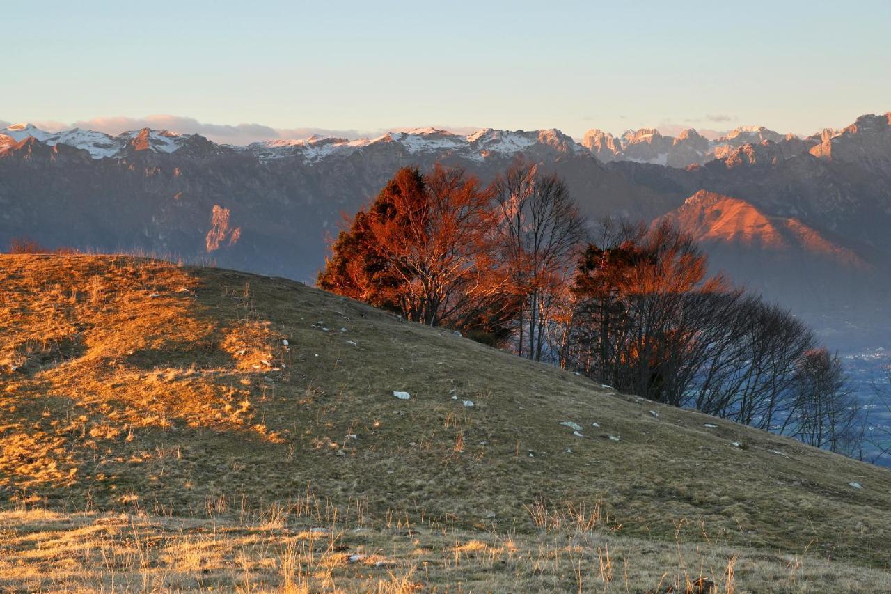 Agriturismo Riva Dei Coz Sequsino 외부 사진