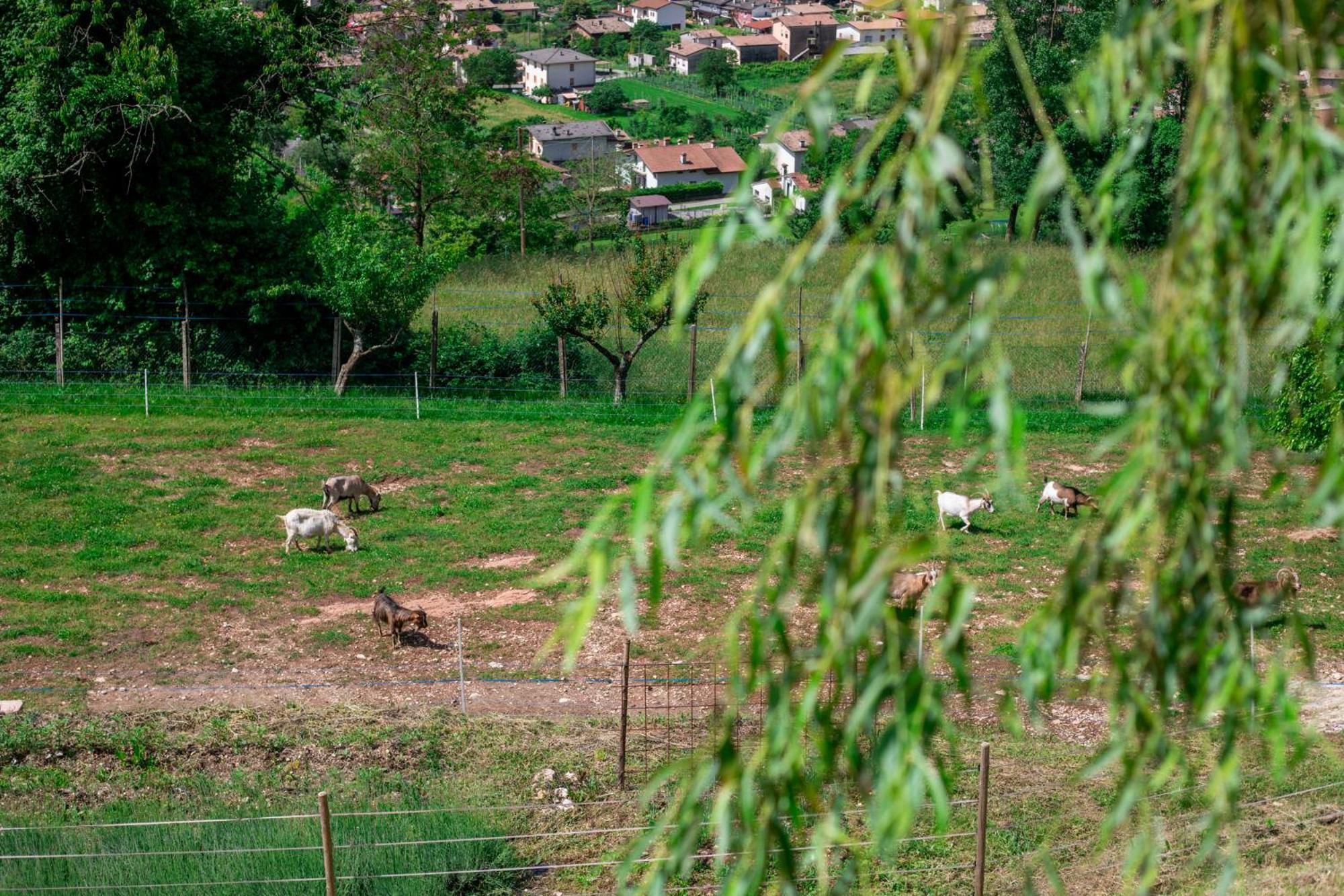 Agriturismo Riva Dei Coz Sequsino 외부 사진