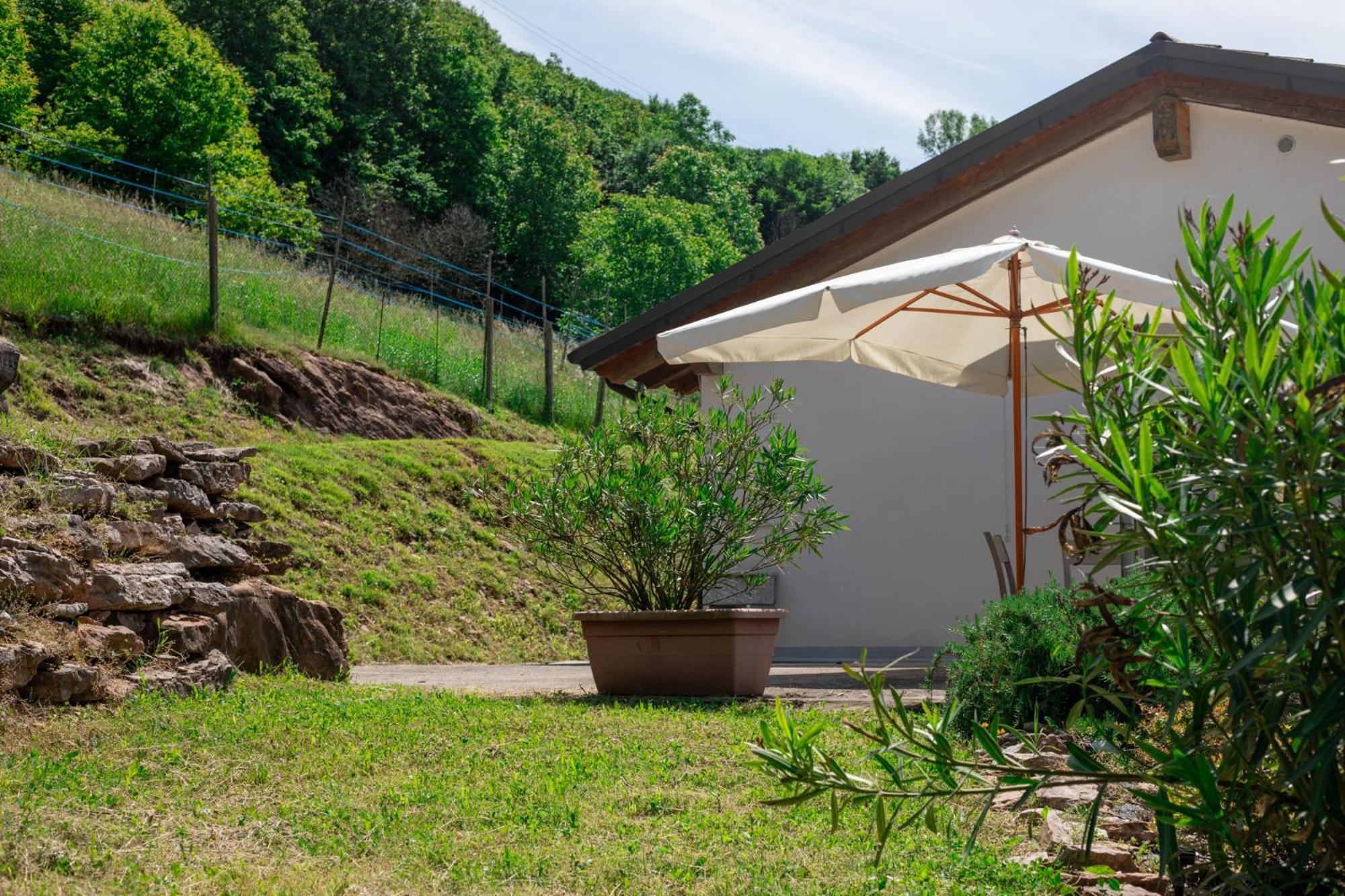 Agriturismo Riva Dei Coz Sequsino 외부 사진