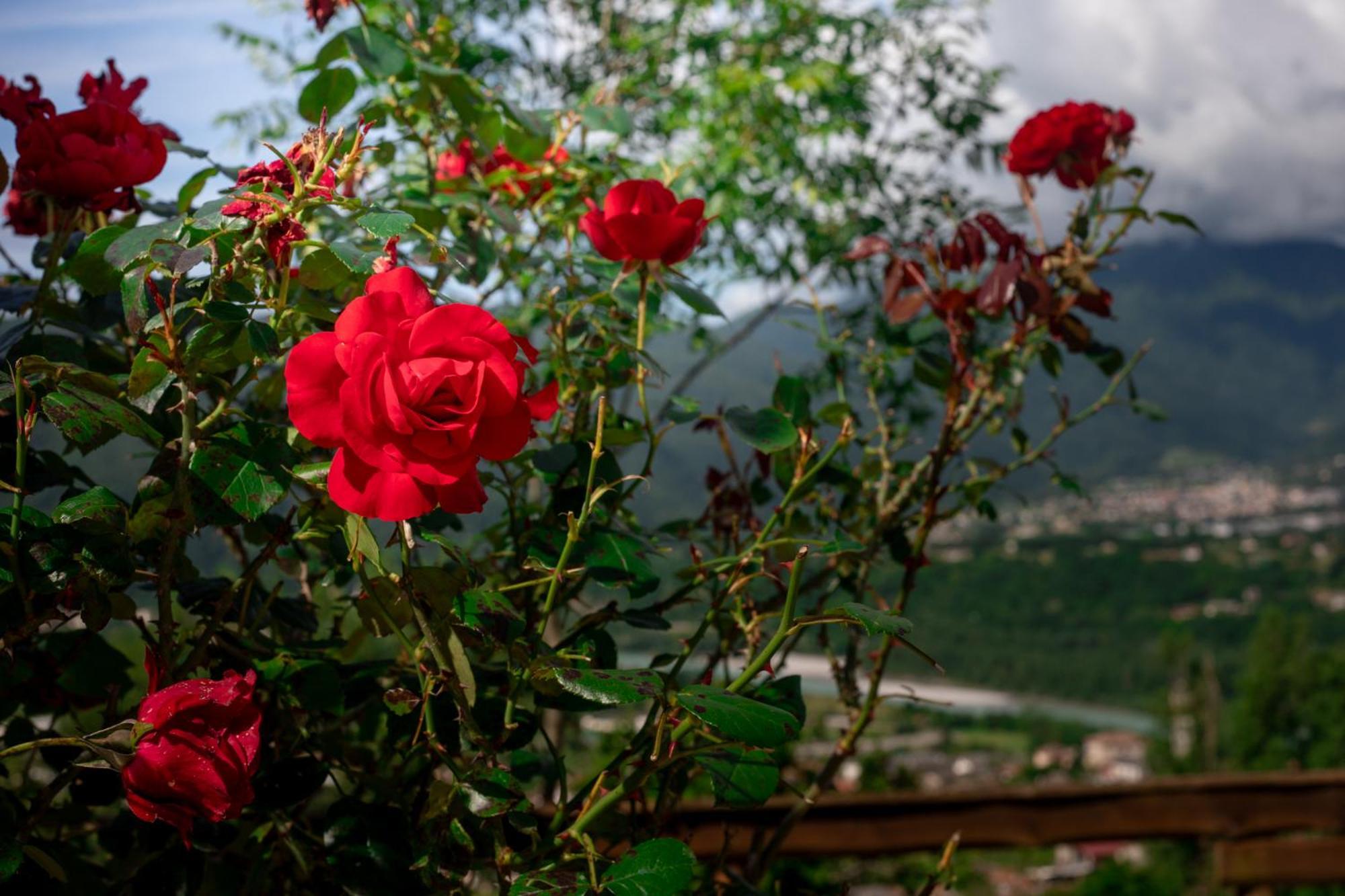 Agriturismo Riva Dei Coz Sequsino 외부 사진